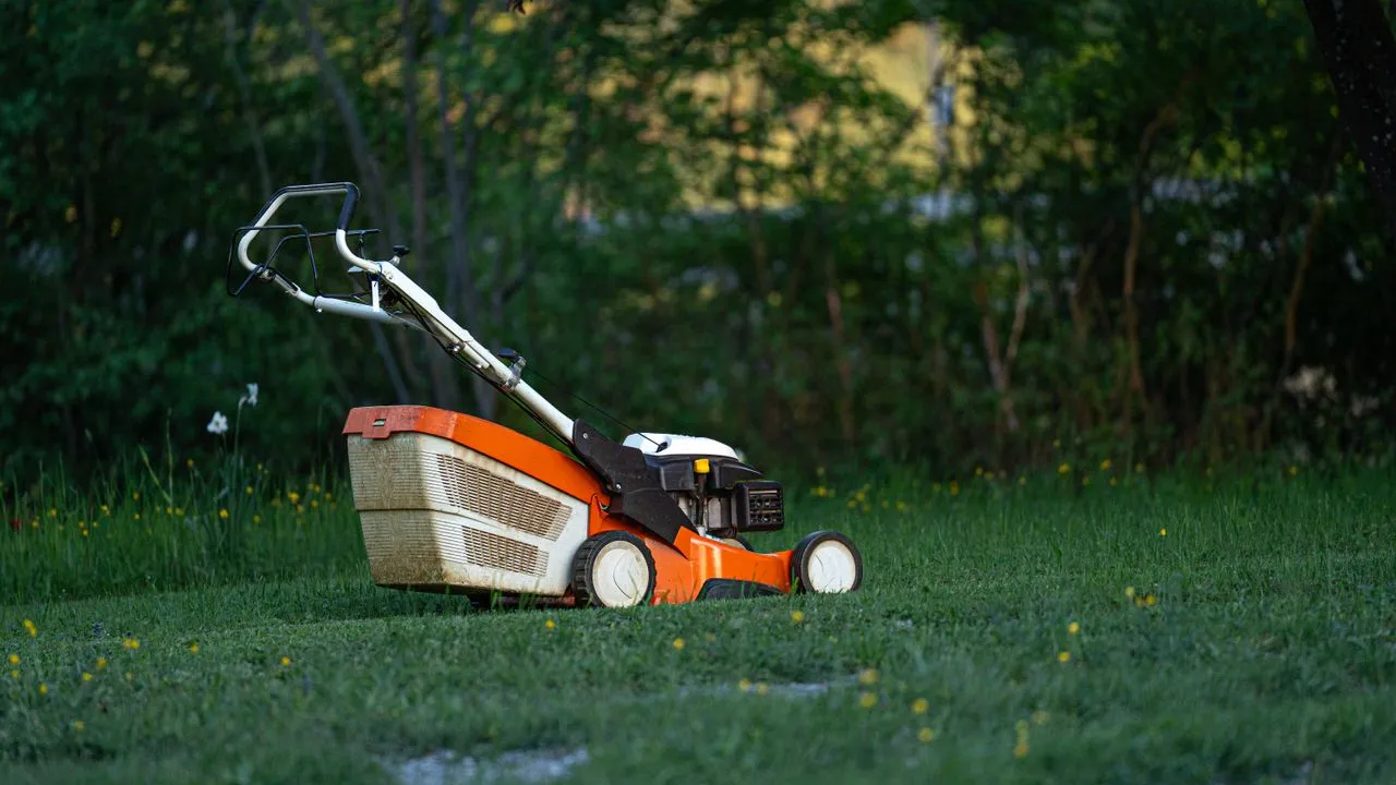 A gas push mower parked on a freshly cut lawn at the edge of a yard